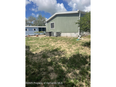 Calling all retired manatee and mermaid lovers, this on Brookridge Country Club in Florida - for sale on GolfHomes.com, golf home, golf lot