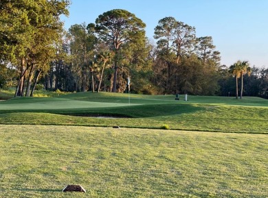 Great investment opportunity with new grounds, zoysia grass, 18 on Circlestone Country Club in Georgia - for sale on GolfHomes.com, golf home, golf lot