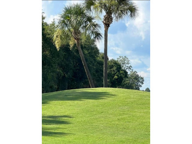 Great investment opportunity with new grounds, zoysia grass, 18 on Circlestone Country Club in Georgia - for sale on GolfHomes.com, golf home, golf lot