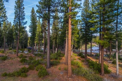 Perched above the 13th green and adjacent to Martis Camp's on Martis Camp Golf Course in California - for sale on GolfHomes.com, golf home, golf lot