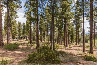 Perched above the 13th green and adjacent to Martis Camp's on Martis Camp Golf Course in California - for sale on GolfHomes.com, golf home, golf lot