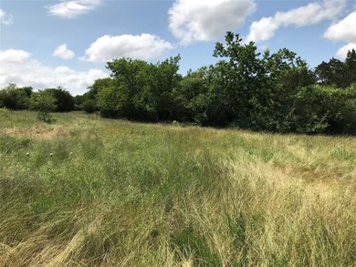 Over half an acre located within a rapidly developing 24-7 gated on White Bluff Resort - Old Course in Texas - for sale on GolfHomes.com, golf home, golf lot