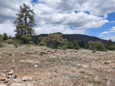 Yvonne Hoffman, Steffens and Company Realty, Inc, C: , hoffman on Rio Grande Golf Club in Colorado - for sale on GolfHomes.com, golf home, golf lot