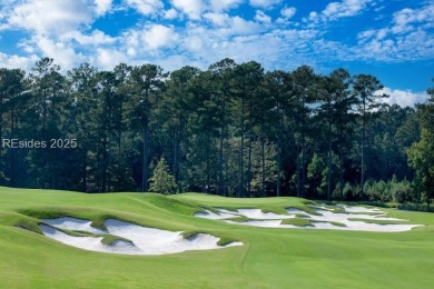 Discover a Stunning Golf & Waterfront Estate Lot! This expansive on Hampton Pointe Golf Course in South Carolina - for sale on GolfHomes.com, golf home, golf lot