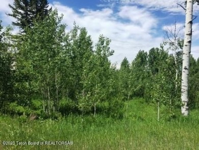 Exceptional cabin site on the edge of Targhee National Forest in on Teton Springs Resort and Club in Idaho - for sale on GolfHomes.com, golf home, golf lot