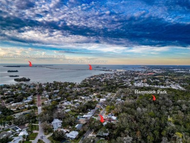 Charming Single-Family Home in Dunedin, FL - A Perfect Blend of on The Dunedin Country Club in Florida - for sale on GolfHomes.com, golf home, golf lot