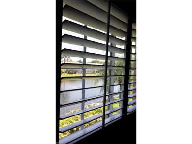 Enjoy fantastic lake views from the screened lanai of this on Lely Resort Golf and Country Club in Florida - for sale on GolfHomes.com, golf home, golf lot