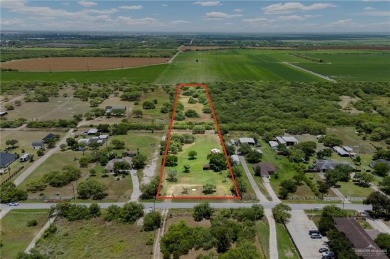 Welcome to Los Lagos, one of the Valley's most sought-after on Los Lagos Golf Club in Texas - for sale on GolfHomes.com, golf home, golf lot