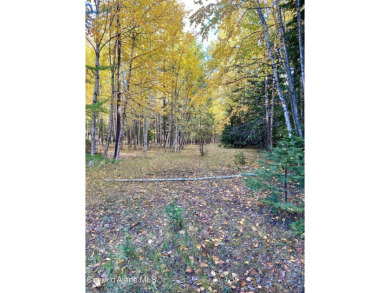 Beautifully parked out wooded level 5 acre parcel in Wilderness on Mirror Lake Golf Course in Idaho - for sale on GolfHomes.com, golf home, golf lot