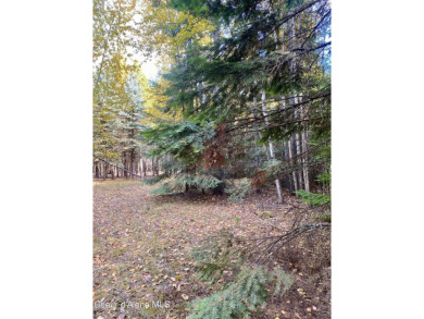 Beautifully parked out wooded level 5 acre parcel in Wilderness on Mirror Lake Golf Course in Idaho - for sale on GolfHomes.com, golf home, golf lot