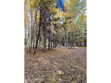 Beautifully parked out wooded level 5 acre parcel in Wilderness on Mirror Lake Golf Course in Idaho - for sale on GolfHomes.com, golf home, golf lot