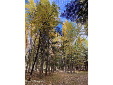 Beautifully parked out wooded level 5 acre parcel in Wilderness on Mirror Lake Golf Course in Idaho - for sale on GolfHomes.com, golf home, golf lot