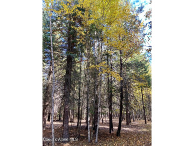 Beautifully parked out wooded level 5 acre parcel in Wilderness on Mirror Lake Golf Course in Idaho - for sale on GolfHomes.com, golf home, golf lot
