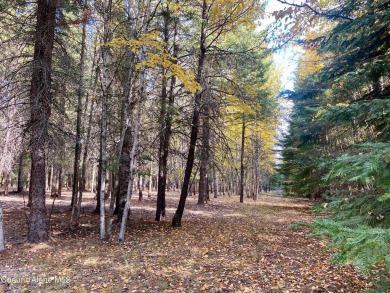 Beautifully parked out wooded level 5 acre parcel in Wilderness on Mirror Lake Golf Course in Idaho - for sale on GolfHomes.com, golf home, golf lot