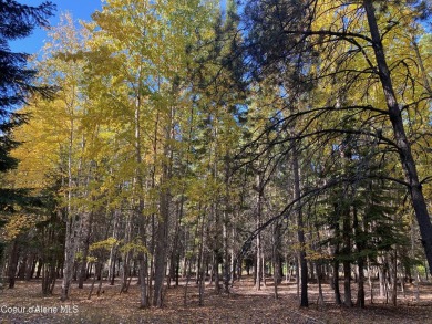 Beautifully parked out wooded level 5 acre parcel in Wilderness on Mirror Lake Golf Course in Idaho - for sale on GolfHomes.com, golf home, golf lot