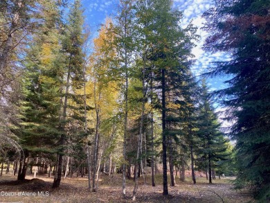 Beautifully parked out wooded level 5 acre parcel in Wilderness on Mirror Lake Golf Course in Idaho - for sale on GolfHomes.com, golf home, golf lot
