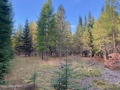 Beautifully parked out wooded level 5 acre parcel in Wilderness on Mirror Lake Golf Course in Idaho - for sale on GolfHomes.com, golf home, golf lot