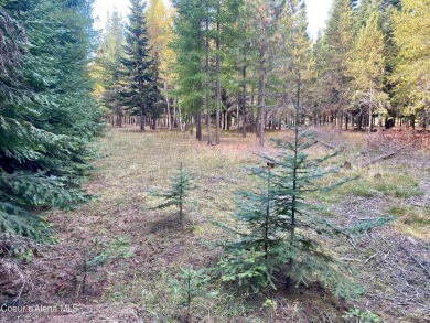 Beautifully parked out wooded level 5 acre parcel in Wilderness on Mirror Lake Golf Course in Idaho - for sale on GolfHomes.com, golf home, golf lot
