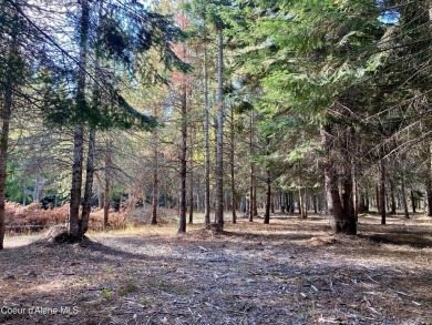 Beautifully parked out wooded level 5 acre parcel in Wilderness on Mirror Lake Golf Course in Idaho - for sale on GolfHomes.com, golf home, golf lot