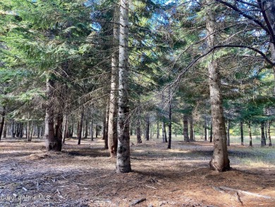 Beautifully parked out wooded level 5 acre parcel in Wilderness on Mirror Lake Golf Course in Idaho - for sale on GolfHomes.com, golf home, golf lot
