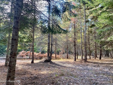 Beautifully parked out wooded level 5 acre parcel in Wilderness on Mirror Lake Golf Course in Idaho - for sale on GolfHomes.com, golf home, golf lot