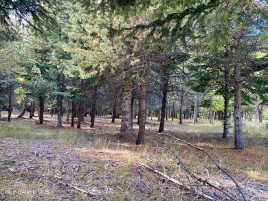 Beautifully parked out wooded level 5 acre parcel in Wilderness on Mirror Lake Golf Course in Idaho - for sale on GolfHomes.com, golf home, golf lot