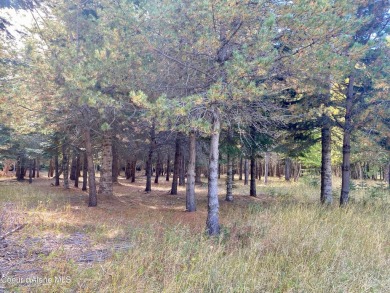 Beautifully parked out wooded level 5 acre parcel in Wilderness on Mirror Lake Golf Course in Idaho - for sale on GolfHomes.com, golf home, golf lot