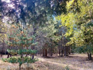 Beautifully parked out wooded level 5 acre parcel in Wilderness on Mirror Lake Golf Course in Idaho - for sale on GolfHomes.com, golf home, golf lot