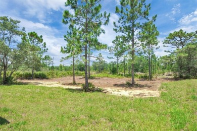 Modern luxury, total privacy, and top-tier amenities--this on Indian Lake Estates Golf and Country Club in Florida - for sale on GolfHomes.com, golf home, golf lot