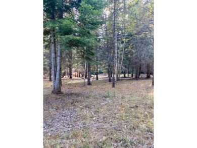 Beautifully parked out wooded level 5 acre parcel in Wilderness on Mirror Lake Golf Course in Idaho - for sale on GolfHomes.com, golf home, golf lot