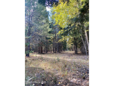 Beautifully parked out wooded level 5 acre parcel in Wilderness on Mirror Lake Golf Course in Idaho - for sale on GolfHomes.com, golf home, golf lot