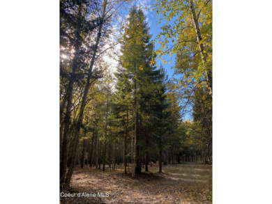 Beautifully parked out wooded level 5 acre parcel in Wilderness on Mirror Lake Golf Course in Idaho - for sale on GolfHomes.com, golf home, golf lot