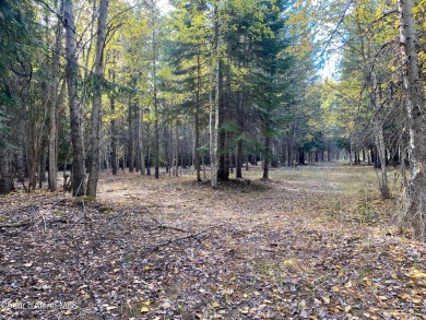 Beautifully parked out wooded level 5 acre parcel in Wilderness on Mirror Lake Golf Course in Idaho - for sale on GolfHomes.com, golf home, golf lot