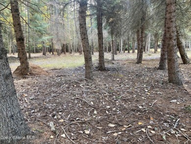 Beautifully parked out wooded level 5 acre parcel in Wilderness on Mirror Lake Golf Course in Idaho - for sale on GolfHomes.com, golf home, golf lot