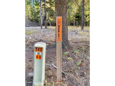 Beautifully parked out wooded level 5 acre parcel in Wilderness on Mirror Lake Golf Course in Idaho - for sale on GolfHomes.com, golf home, golf lot