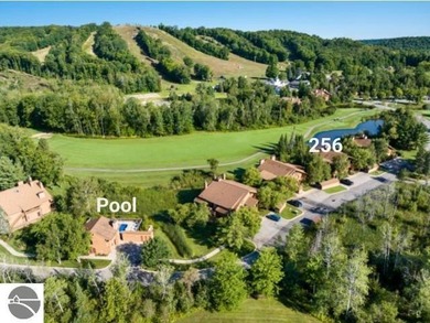 Comfortable in all seasons, this 2-bedroom condominium has on  in Michigan - for sale on GolfHomes.com, golf home, golf lot