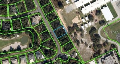 Great lot to build your investment home or your dream home on Sun n Lake Golf and Country Club in Florida - for sale on GolfHomes.com, golf home, golf lot