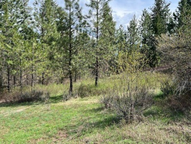 Best lot available in MeadowCreek Subdivision!  You must see on Meadowcreek Golf Resort in Idaho - for sale on GolfHomes.com, golf home, golf lot