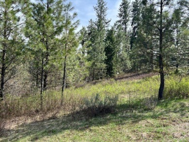 Best lot available in MeadowCreek Subdivision!  You must see on Meadowcreek Golf Resort in Idaho - for sale on GolfHomes.com, golf home, golf lot