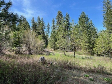 Best lot available in MeadowCreek Subdivision!  You must see on Meadowcreek Golf Resort in Idaho - for sale on GolfHomes.com, golf home, golf lot