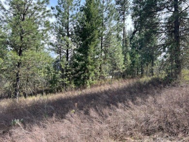 Best lot available in MeadowCreek Subdivision!  You must see on Meadowcreek Golf Resort in Idaho - for sale on GolfHomes.com, golf home, golf lot