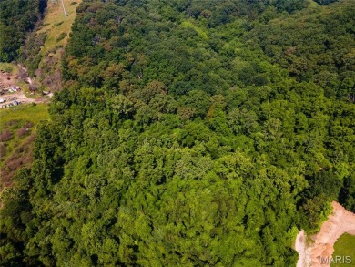 Developer's Dream: 40.7 Acres Zoned PUD Near Fenton  High Ridge on Paradise Valley Country Club in Missouri - for sale on GolfHomes.com, golf home, golf lot