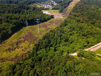 Developer's Dream: 40.7 Acres Zoned PUD Near Fenton  High Ridge on Paradise Valley Country Club in Missouri - for sale on GolfHomes.com, golf home, golf lot