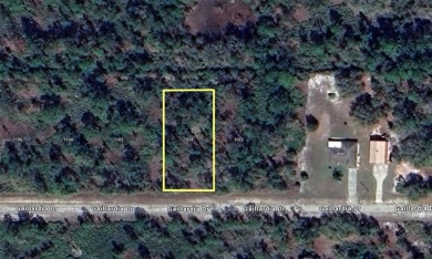 Come build your forever home on this one-half acre lot located on Indian Lake Estates Golf and Country Club in Florida - for sale on GolfHomes.com, golf home, golf lot