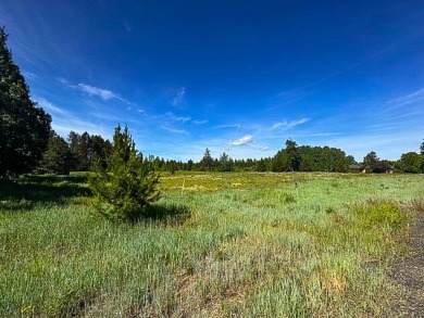 Build your dream home on a premium golf course lot with stunning on Jug Mountain Ranch Golf Course in Idaho - for sale on GolfHomes.com, golf home, golf lot