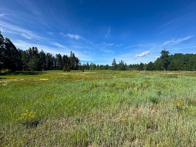 Build your dream home on a premium golf course lot with stunning on Jug Mountain Ranch Golf Course in Idaho - for sale on GolfHomes.com, golf home, golf lot
