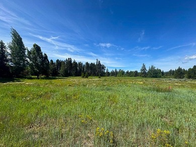 Build your dream home on a premium golf course lot with stunning on Jug Mountain Ranch Golf Course in Idaho - for sale on GolfHomes.com, golf home, golf lot
