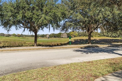 Under contract-accepting backup offers. We have a beauty here on Harmony Golf Preserve in Florida - for sale on GolfHomes.com, golf home, golf lot