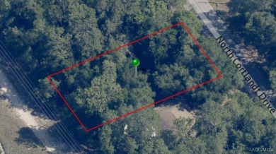Buildable quarter-acre lot in Citrus Springs offering a on Citrus Springs Country Club in Florida - for sale on GolfHomes.com, golf home, golf lot
