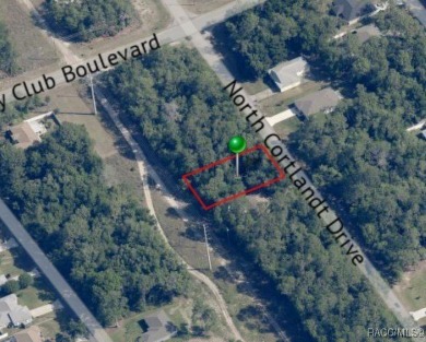 Buildable quarter-acre lot in Citrus Springs offering a on Citrus Springs Country Club in Florida - for sale on GolfHomes.com, golf home, golf lot
